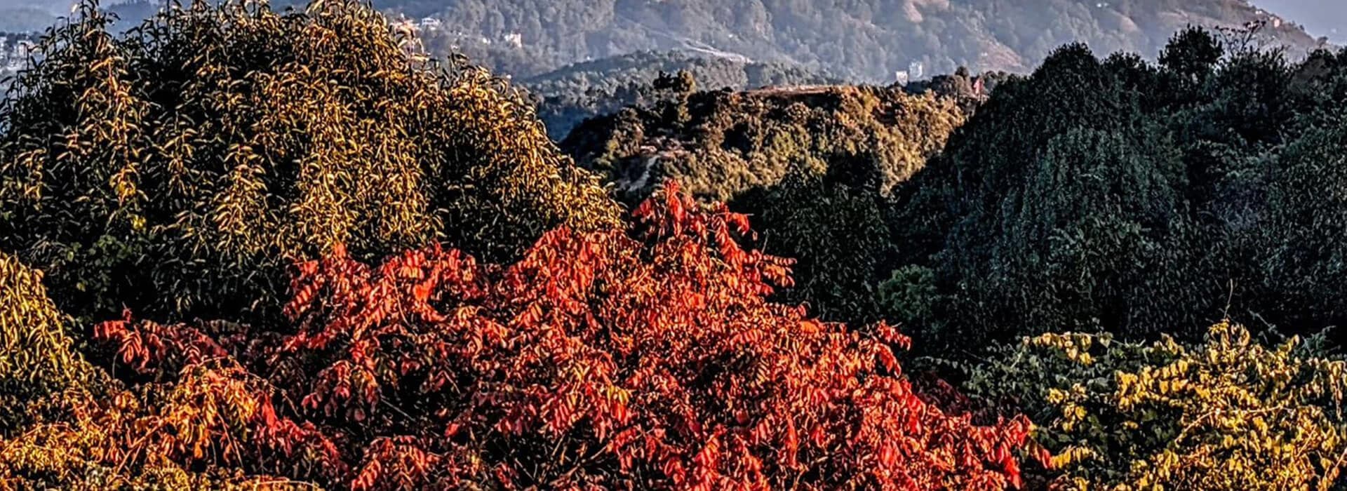 Shivapuri Day Hiking - 1 Day