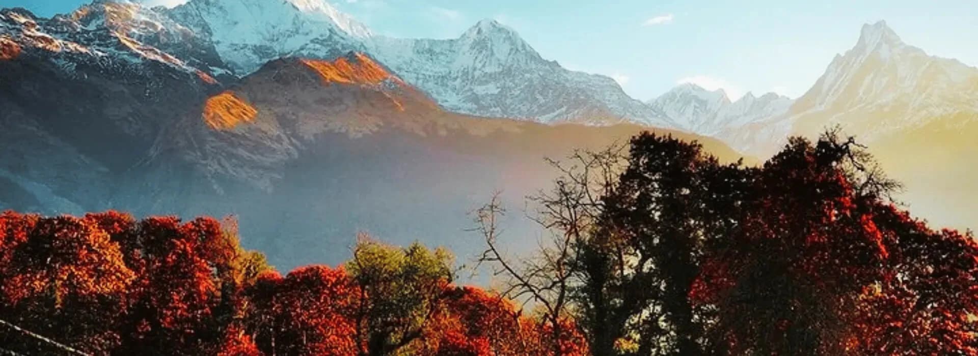 Poon Hill