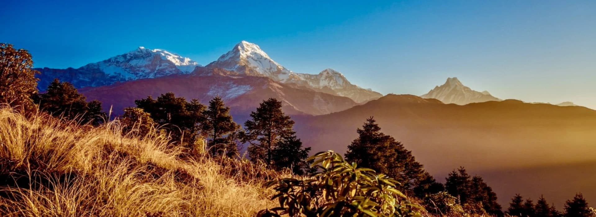 3 days Ghorepani Poon Hill Trek