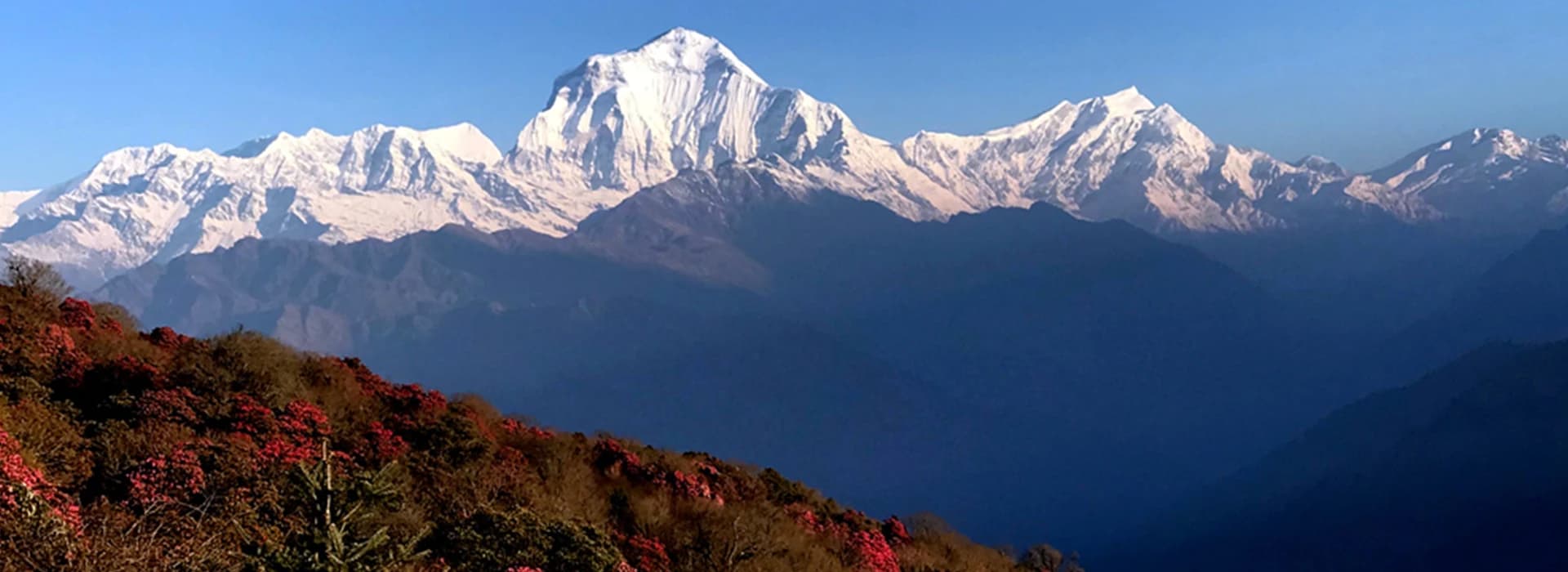 Dhaulagiri Circuit Trekking - 17 Days