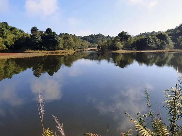 Chisapani Nagarkot Trekking - 3 Days