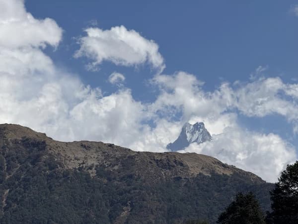 Horepani Oonhill Rek4