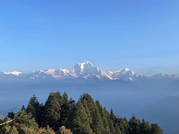 Horepani Oonhill Rek7