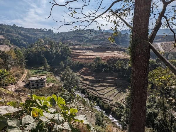 0cfd3e2c 46bb 46f4 87a8 56f09c901ac0