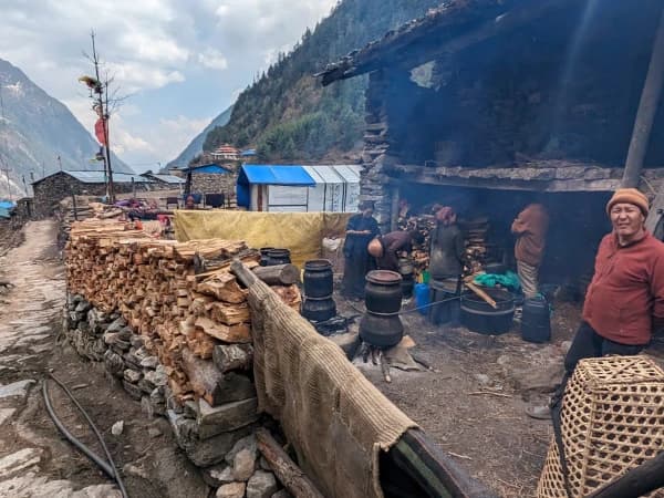 26b68578 B080 4593 98f1 60651596cdd7