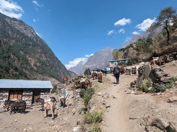 80ce6dac F4c8 4b1d 8713 4865f3409084