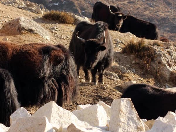 91e53543 765f 4aa9 B87b Ef77dd721e2e