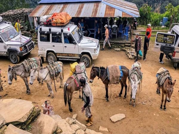Annapurna Circuit Trek4