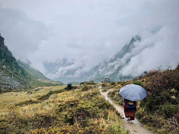 Budget Langtang Trek Local Cuisine