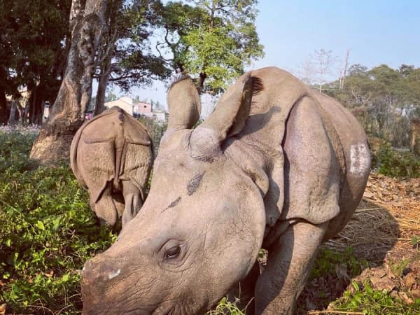 Nepal Immersive Tour 10