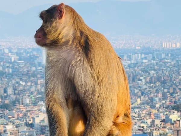 Nepal Immersive Tour 6