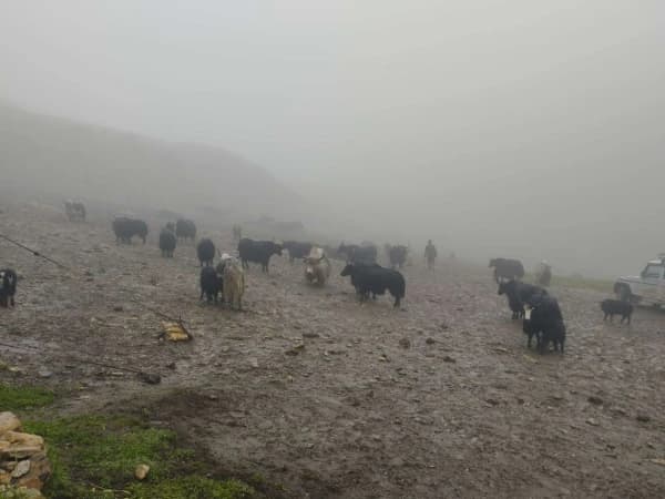 Upper Mustang Trek 16