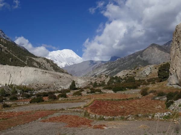Vor Manang
