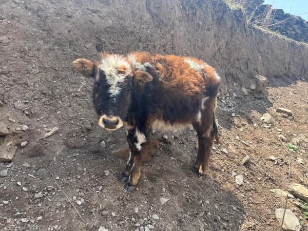 Walking Tours Tsum Valley Village