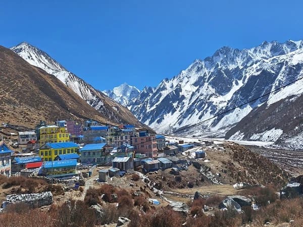 Unforgettable Memories in Langtang Valley While Trekking